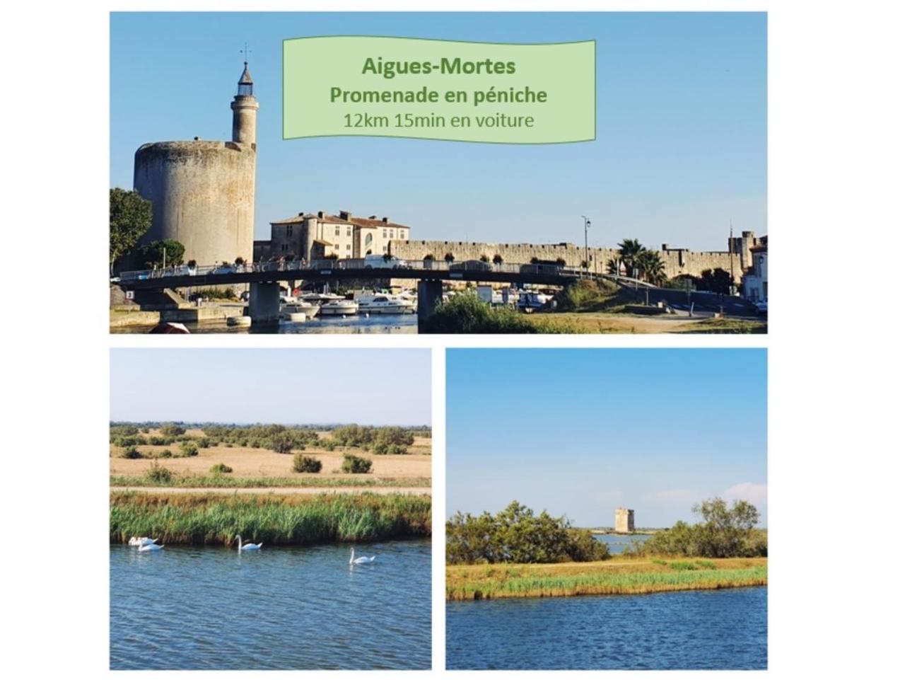 T2 Traversant Familial Cap Sud Parking Plages - Rossiconciergerie - Linge En Option 拉格朗德默特 外观 照片