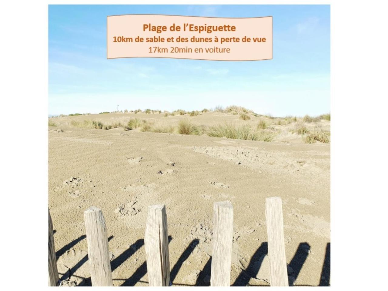T2 Traversant Familial Cap Sud Parking Plages - Rossiconciergerie - Linge En Option 拉格朗德默特 外观 照片